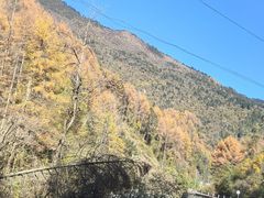 -卧龙自然保护区