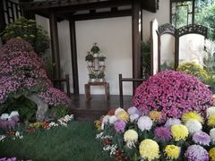 -杭州植物园