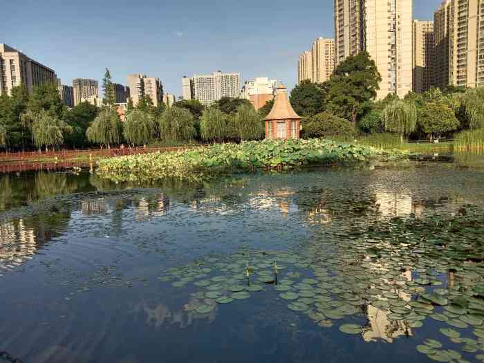 关山荷兰风情园-"在民大对面,很大的一个公园,过去走一走,.