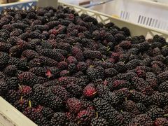 -喜茶(广州北京路惠福东店)