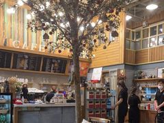 大堂-Cafe Alice咖啡爱丽丝(奥城店)