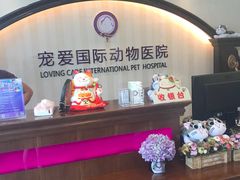 -宠爱国际动物医院·消化内科·心肾内科·ISFM猫友好(望京店)