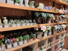 -TheGreenParty(槐房万达店)