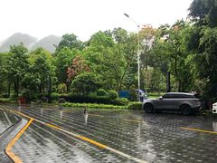 -天瑞轩·粤菜餐厅