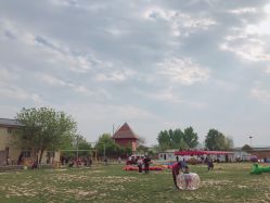 -上美四季动物农场