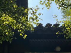 -杭州上天竺法喜讲寺