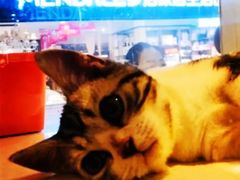 -乐宠宠物店(世纪金源店)