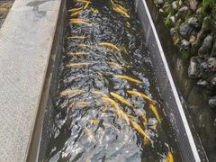 -京北渔家傲
