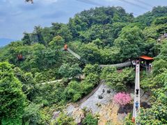 -南丹山森林王国