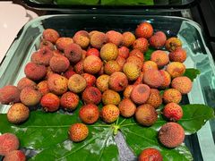 -领仕扒房(长春店)