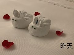 -厦门悦华酒店