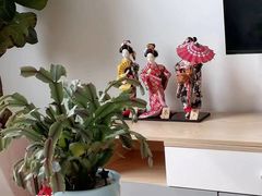 -八号公馆·老上海SPA(深圳北站店)