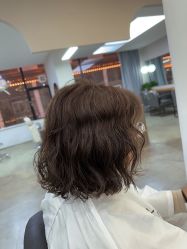 -蚂蚁造型沙龙