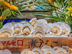 -初色海鲜自助(万丰路店)