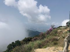 -梧桐山风景名胜区