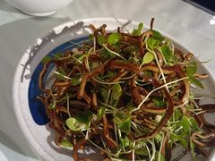 -裕龙汤泉