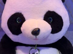 -眉州东坡(清华园店)