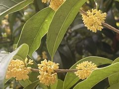 -径山十八道·风味民间菜(杭州总店)