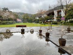 -杭州雅谷泉山庄酒店-餐厅