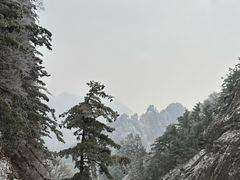 -洛阳白云山景区