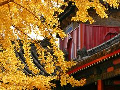 -承恩寺