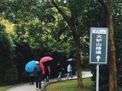 -火炉山森林公园