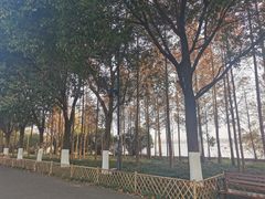 -东湖落雁景区