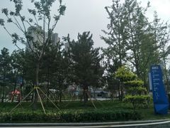 -山西体育中心红灯笼体育场