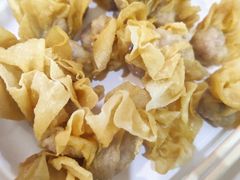 油炸云吞-蓝记云吞(正果店)