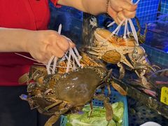 -友强·23年特色海鲜大排档(厦门店)