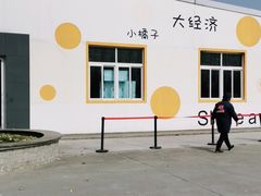 -前小桔亲子创意农场·草莓采摘·露营烧烤