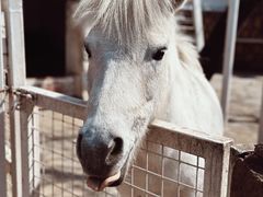 -J Create城市露营咖啡·简餐·宠物(上海动物园店)