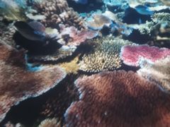 -上海科技馆(地铁站)