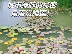 -新虹桥中心花园