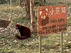 -合肥野生动物园