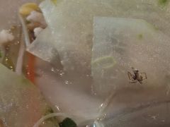 -国家五钻酒家·西樵旺阁渔村(西樵店)