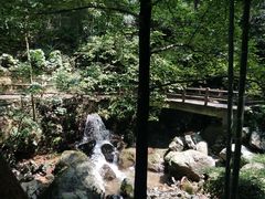 -藏龙百瀑风景区