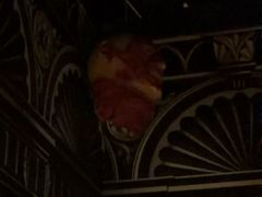 -剧狐剧本杀(徐汇1号店)