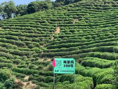 -西湖风景区十里琅珰-五云山