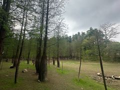 -广州市帽峰山景区