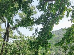 -秦岭终南山世界地质公园翠华山景区