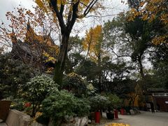 -龙华寺