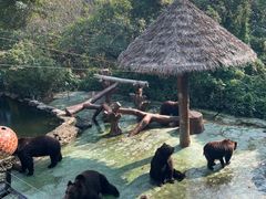 -深圳野生动物园