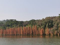 -三水森林公园