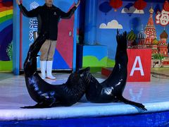 -成都浩海立方海洋公园