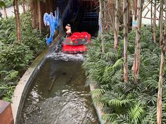 -南宫五洲植物乐园