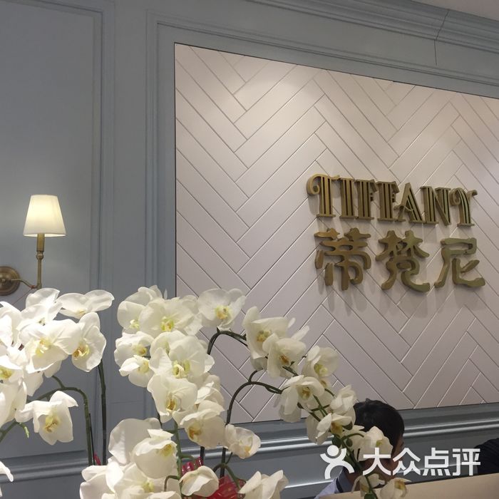 蒂梵尼造型设计