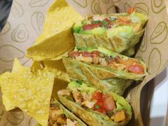 -油梨树 AVOCADO TREE(亮马桥店)