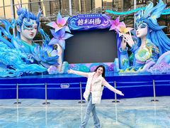 -海合安成都极地海洋公园