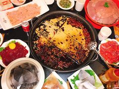 鲜毛肚-锅首鲜品火锅(鸳鸯店)